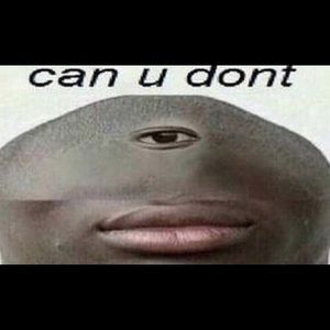 Meet your Posher, Joey